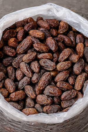 فروش ضایعات خرما